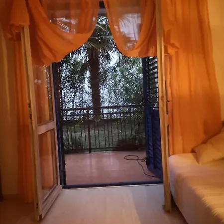 Stellissima * Crikvenica